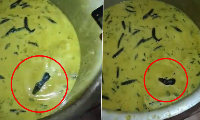  Live Rat Found In Chutney Of Jntuh College Boys Hostel Canteen Video Viral Detai-TeluguStop.com