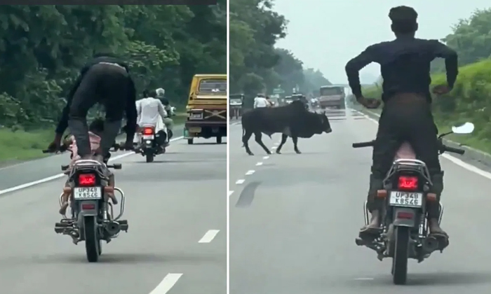  Man Performs Dangerous Bike Stunts With Kid On Bike Viral Video Details, Viral-TeluguStop.com