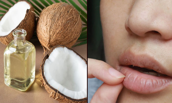  Did You Know That Coconut Oil Can Be Used Not Only For Hair? Coconut Oil, Latest-TeluguStop.com