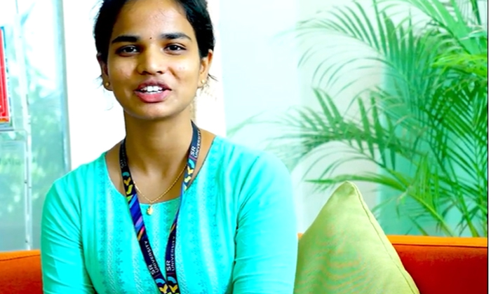 Telugu Paypal Company, Techie-Inspirational Storys