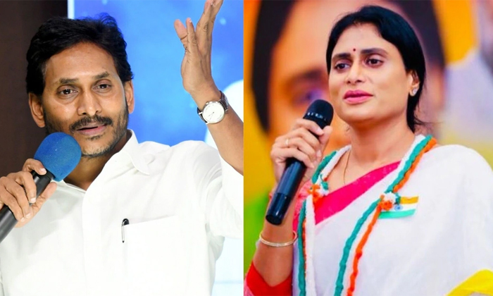  Ys Sharmila Counter To Ysrcp Chief Jagan Details, Ys Sharmila, Ys Jagan, Ap Cong-TeluguStop.com