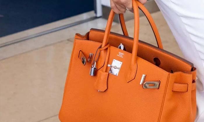  A Young Woman Bought A Hermes Handbag For Rs. 580 But Returned It The Next Day,-TeluguStop.com