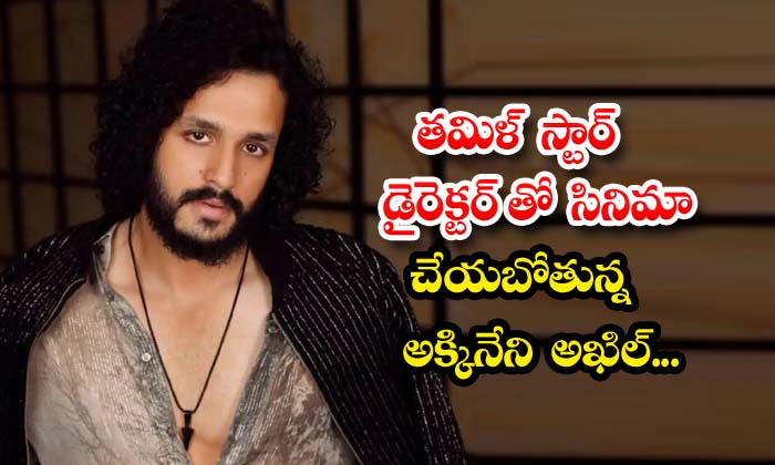  Akkineni Akhil Is Going To Do A Film With A Tamil Star Director , Tamil Star Di-TeluguStop.com