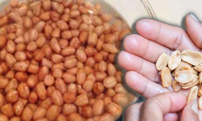  Do You Know What Happens To Eat 10 Soaked Peanuts Daily? Soaked Peanuts, Soaked-TeluguStop.com