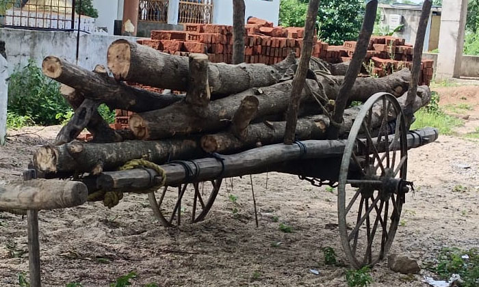  Forest Officials Holding Take Firewood ,forest Officials ,chendurthi , Rajan-TeluguStop.com