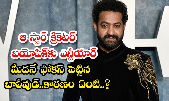  Bollywood Focused On Ntr For That Star Cricketer Biopic...what Is The Reason ,j-TeluguStop.com