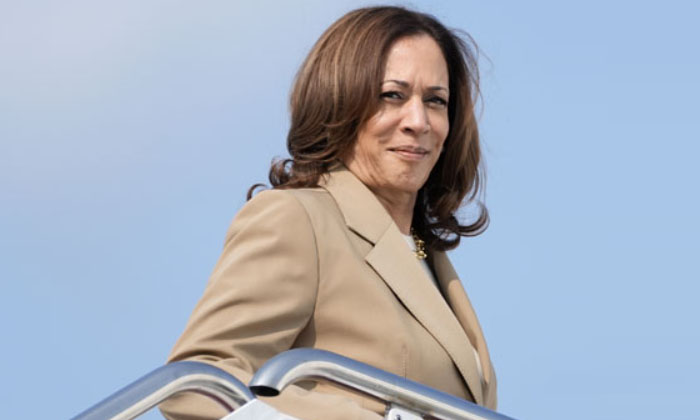  Us Presidential Election 2024 : Kamala Harris's Democratic Candidature Confirmed-TeluguStop.com