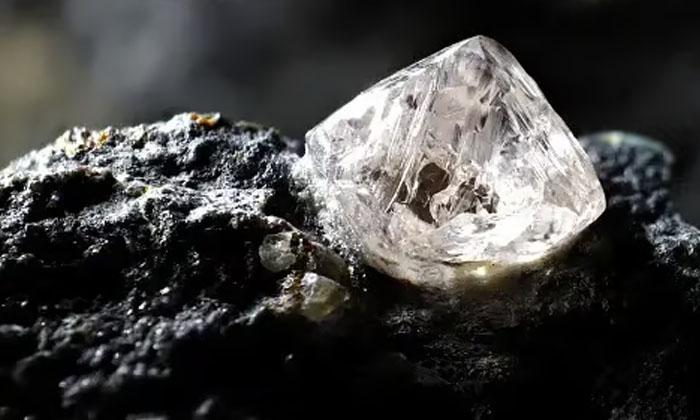 Telugu Carat Diamond, Madhya Pradesh, Panna, Raju Gond-Latest News - Telugu