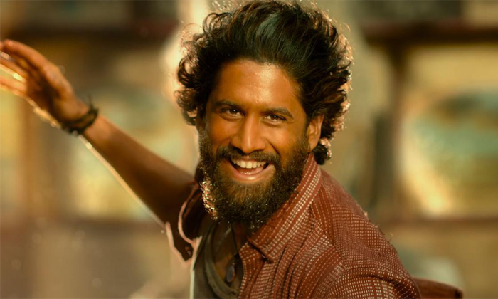 Telugu Chandoo Mondeti, Naga Chaitanya, Nagachaitanya, Nagarjuna, Sai Pallavi, T