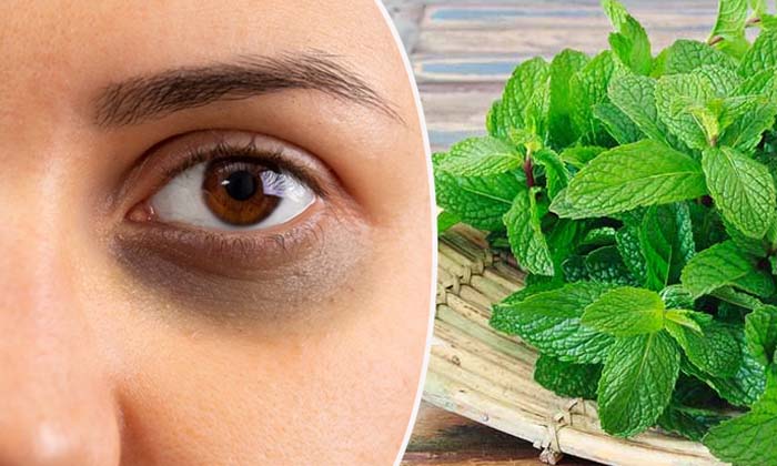  Say Goodbye To Dark Circles With Mint Leaves! Mint Leaves, Mint Leaves Benefits,-TeluguStop.com