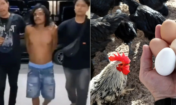  Indonesian Man Kills Friend Over Chicken Or Egg Question, Viral News, Nri News,-TeluguStop.com