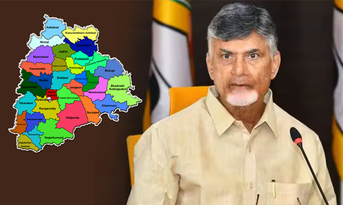  Cm Chandrababu Naidu To Strengthen Tdp Party In Telangana Details, Ap, Ap Tdp, T-TeluguStop.com