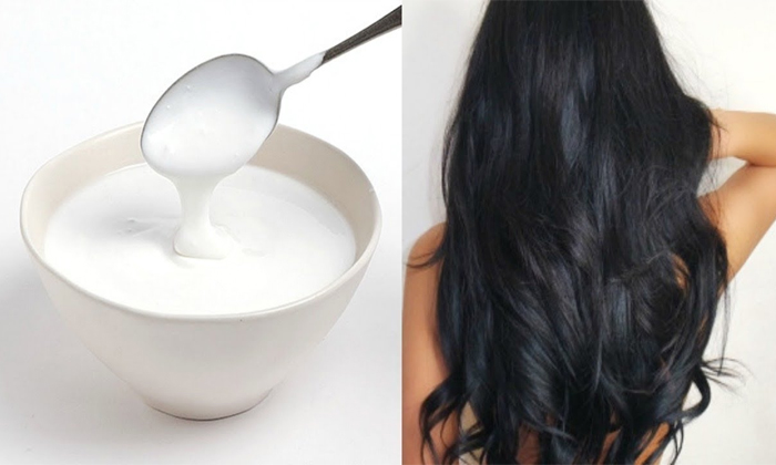  Adding These To Yogurt Will Make Your Hair Grow Thicker Details, Yogurt, Curd Ha-TeluguStop.com