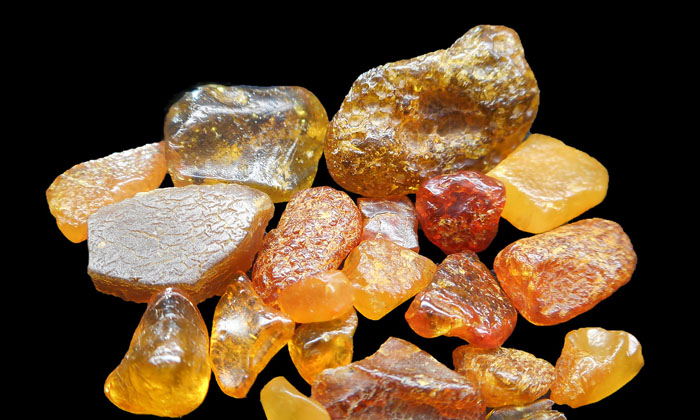 Telugu Amber, Amber Nugget, Treasure, Buzau County, Fossils, Romania-Telugu NRI