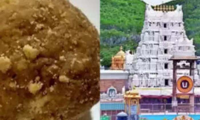  Chandrababu Warning To Jagan On Laddu Controversy, Tirumala Laddu Issue, Jagan,-TeluguStop.com