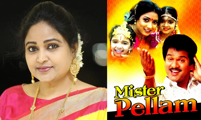  Divya Vani About Mister Pellam Movie Chance Details, Divyavani, Actress Divyavan-TeluguStop.com