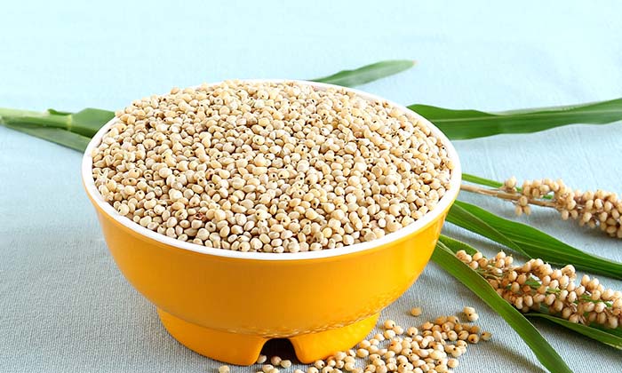 Telugu Diseasesavoided, Tips, Jonnalu, Jowar, Jowar Benefits, Latest, Millets-Te