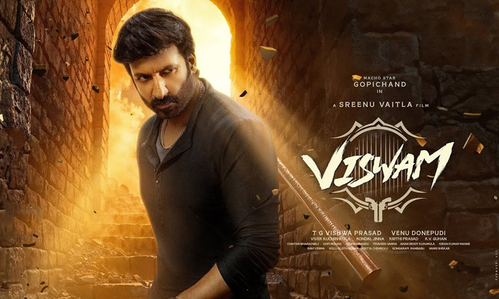  Gopichand Says That He Will Answer With The Success Of Viswam Movie Details, Gop-TeluguStop.com