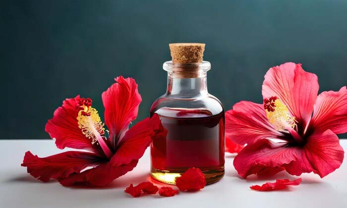 Telugu Care, Care Tips, Healthy, Hibiscus, Hibiscusoil, Latest-Telugu Health