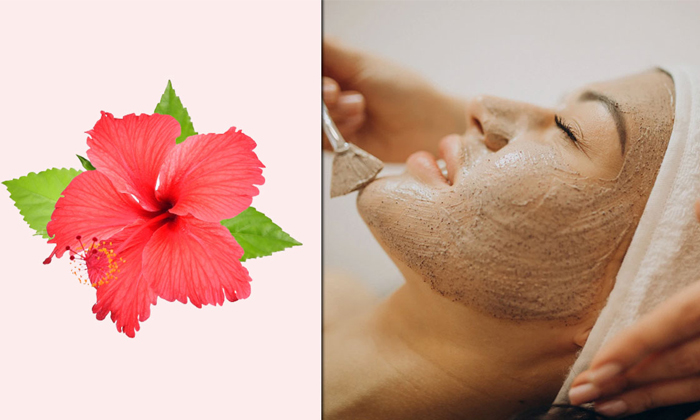  How To Get Glowing Skin With Hibiscus Details, Hibiscus, Glowing Skin, Skin Car-TeluguStop.com