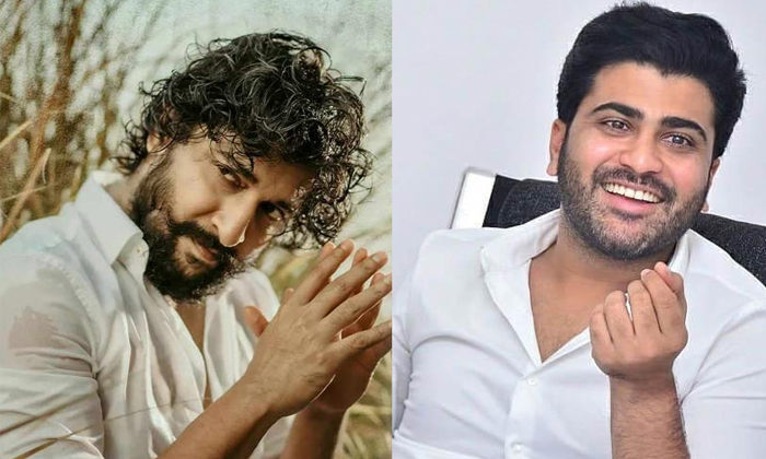 Telugu Ritesh Rana, Sharwanand, Mathu Vadalara, Medium Range, Nani-Movie