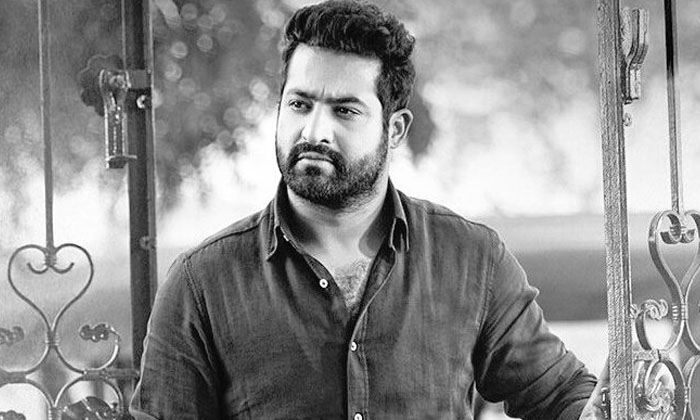  Crazy Update About Tarak Prashant Neel Combo Movie Details Inside Goes Viral ,-TeluguStop.com