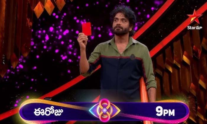  Nagarjuna Kicked Abhay Out Of The Bigg Boss House, Nagarjuna's, Red Card, Shakes-TeluguStop.com