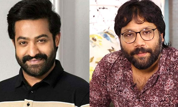  Sandeep Reddy Vanga - NTR Combination Film Is Going To Come, Sandeep Reddy Vanga-TeluguStop.com