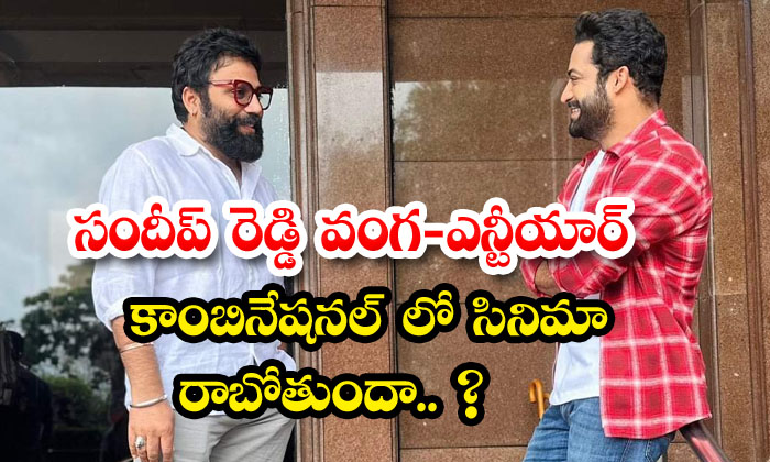  Sandeep Reddy Vanga - Ntr Combination Film Is Going To Come, Sandeep Reddy Vanga-TeluguStop.com