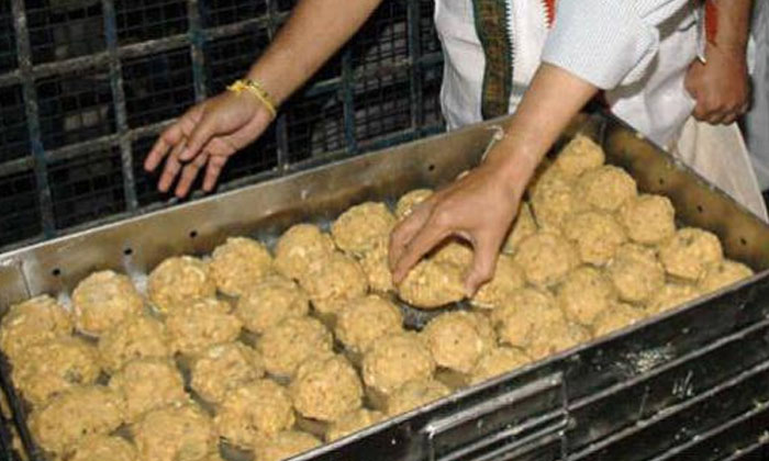  Tirumala Laddu Ladhu Making Karnataka Milk Federation, Ghee , Ghee, Nandi Ghee-TeluguStop.com