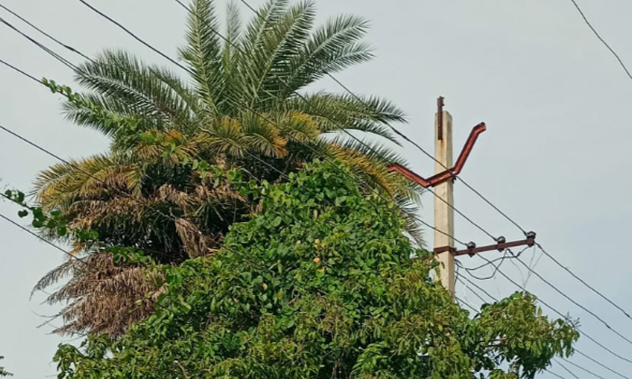  Trees Hit Power Lines, Trees ,power Lines, Suryapet District , Nereducharla Bus-TeluguStop.com