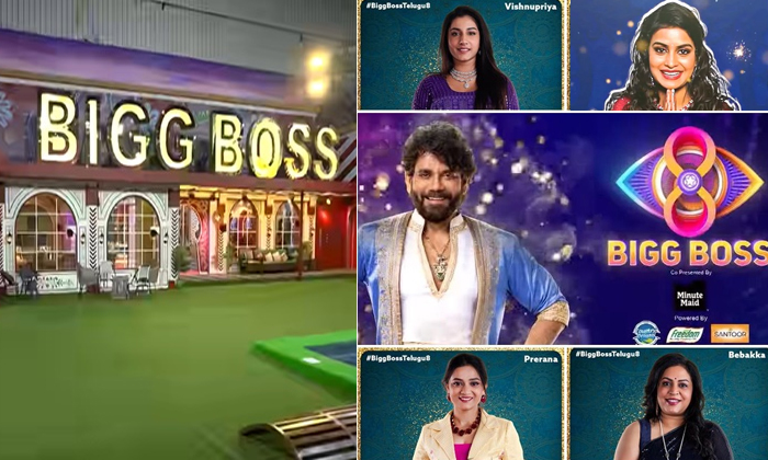  Vishnu Priya Takes Heightest Remuneration For Bigg Boss Season 8 Telugu Details,-TeluguStop.com