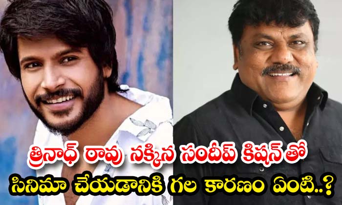  What Is The Reason For Making A Film With Trinadh Rao Nakkina Sandeep Kishan ,-TeluguStop.com