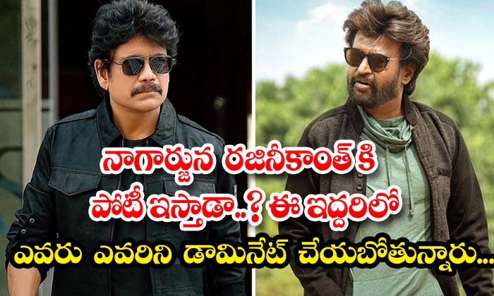  Will Nagarjuna Compete With Rajinikanth Which Of These Two Is Going To Dominate-TeluguStop.com