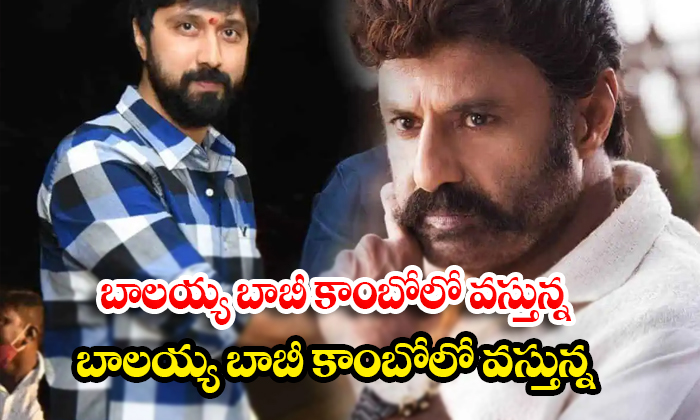  Will This Be The Highlight Of Balayya Bobby Combo's Coming Movie..? , Balayya Ba-TeluguStop.com