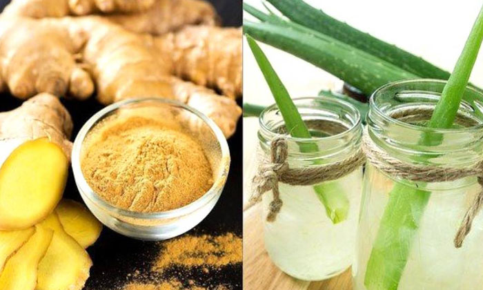  This Homemade Hair Tonic Helps To Get Rid Of Dandruff Quickly! Homemade Hair Ton-TeluguStop.com