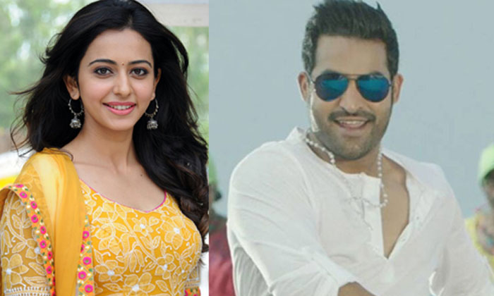  Rakul Preet Singh About Jr Ntr, Rakul Preeth Singh, Jr Ntr, Tollywood, Allu Arju-TeluguStop.com