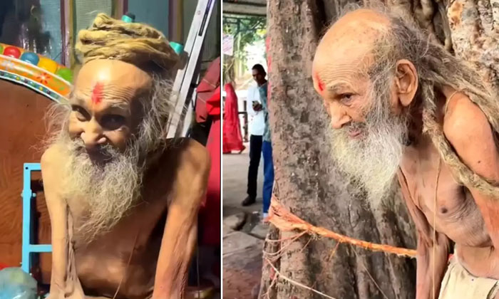  109 Year Old Siyaram Baba Viral Video, 188 Year Old Man, Viral Video, 109 Year O-TeluguStop.com