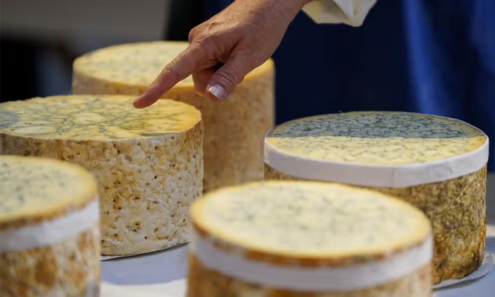 Telugu Cheddarcheese, Cheese Theft, Theft, Londoncheese, London, Organized-Telug