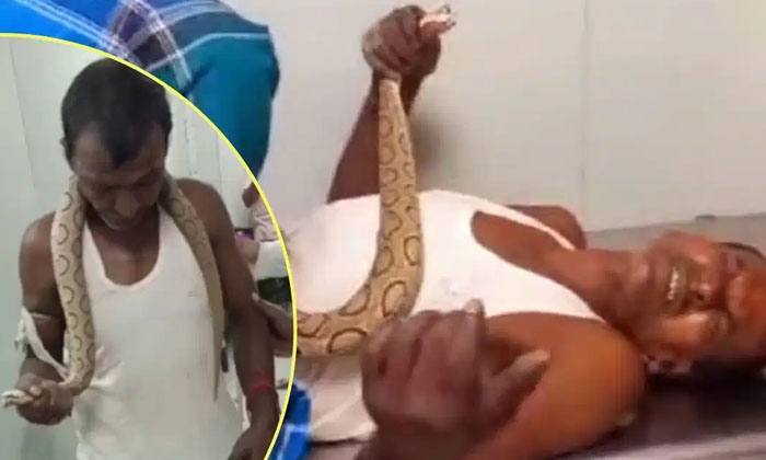  The Man Who Took The World's Most Dangerous Snake To The Hospital, Bhagalpur Ma-TeluguStop.com