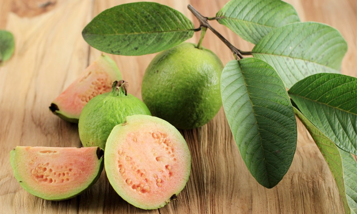  Amazing Health Benefits Of Guava Leaves Details, Guava Leaves, Guava Leaves Hea-TeluguStop.com