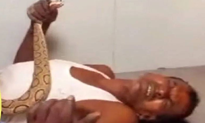 Telugu Snake, Bhagalpur, Bihar, Bitten, Hood, Prakash-Latest News - Telugu