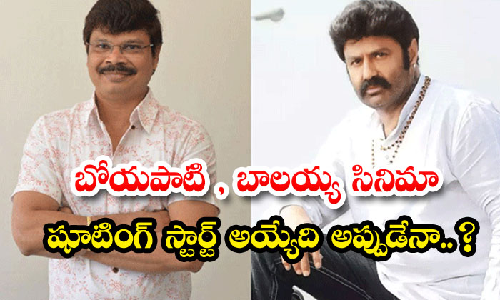  Will The Shooting Of Boyapati And Balayya Film Start Then, Boyapati Srinu, Balak-TeluguStop.com