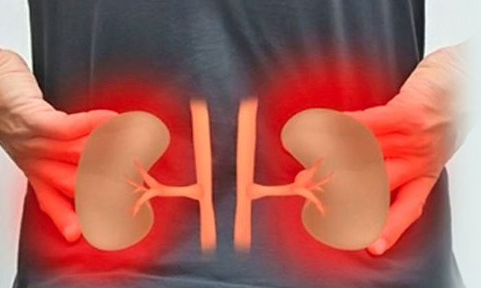  Common Habits That May Harm Your Kidneys! Kidneys, Kidney Damage, Health, Health-TeluguStop.com