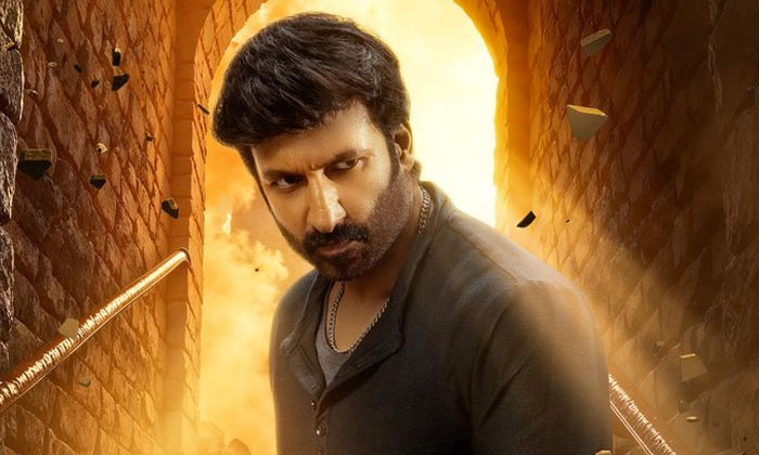  Is Gopichand's Career As A Hero Over ,Gopichand , Tollywood, Srinu Vaitla , Vis-TeluguStop.com