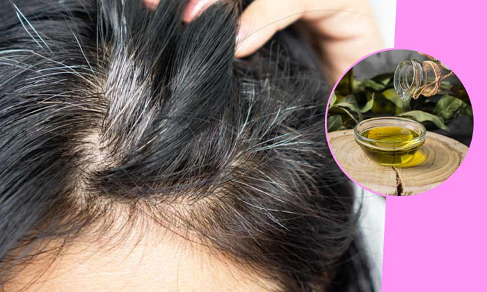  If You Use This Oil Twice A Week, You Can Say Goodbye To White Hair! White Hair,-TeluguStop.com