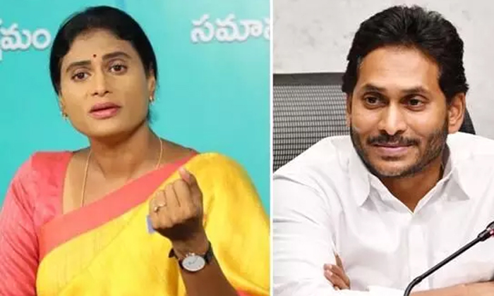 Telugu Ap, Ysrajashekhar, Ys Sharmila, Ys Vijayamma, Ysrcp-Politics