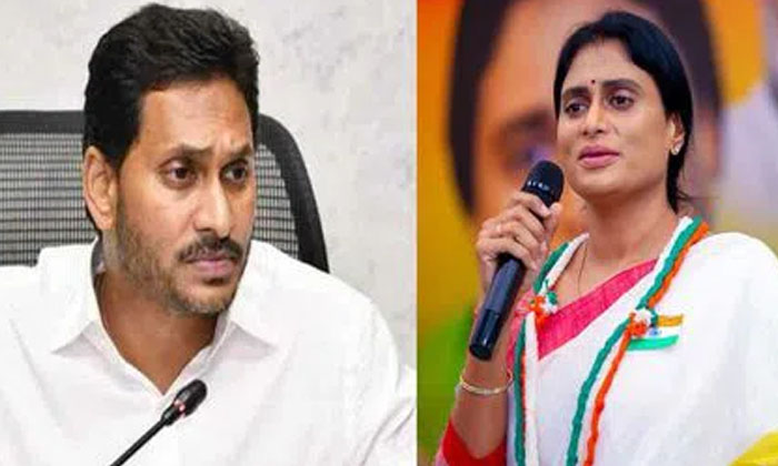  Jagan's Letter To Sharmila Has No Mercy Even If He Is Given Crores, Tdp, Ysrcp,-TeluguStop.com