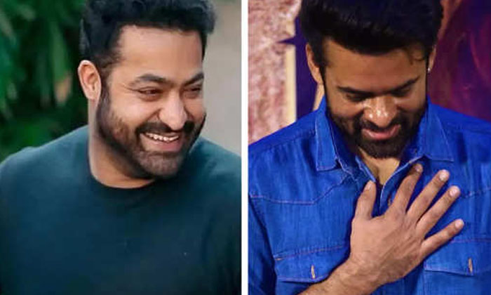 Telugu Falaknuma Das, Jr Ntr Alike, Ntr, Punjab, Sai Dharam Tej, Shaminder Singh