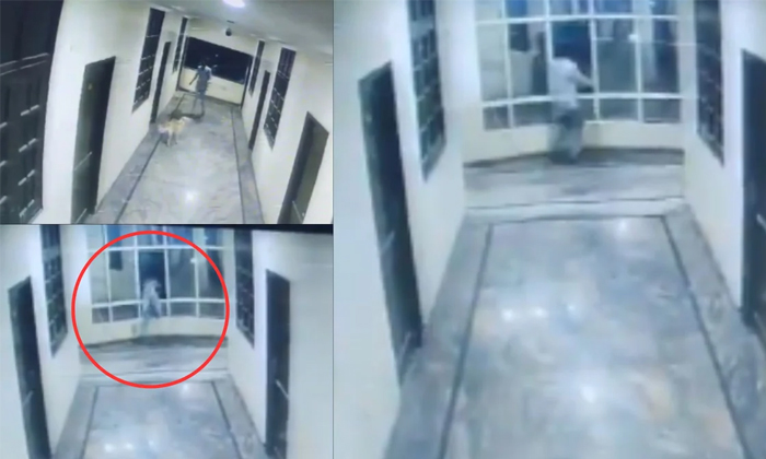  Man Falls To Death Chasing Dog On Third Floor Of Hotel In Hyderabad Viral Detail-TeluguStop.com